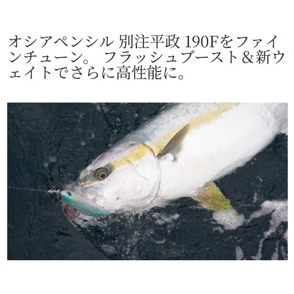 OCEA ペンシル 別注平政 190F フラッシュブースト